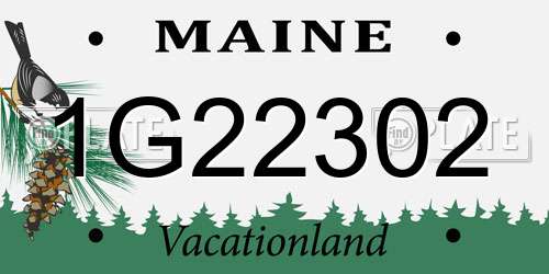 1G22302 Maine License Plate