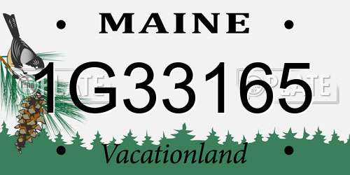 1G33165 Maine License Plate