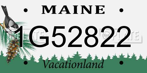 1G52822 Maine License Plate