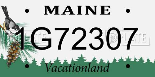 1G72307 Maine License Plate