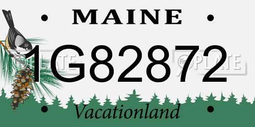 1G82872 Maine License Plate
