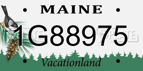 1G88975 Maine License Plate