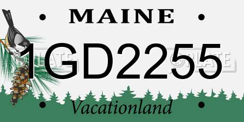 1GD2255 Maine License Plate