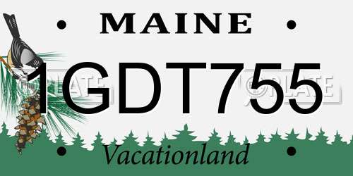 1GDT755 Maine License Plate