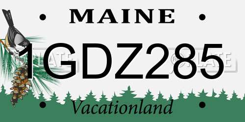 1GDZ285 Maine License Plate
