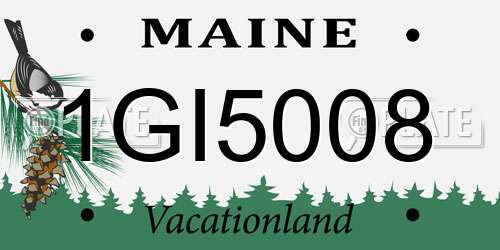 1GI5008 Maine License Plate