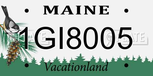 1GI8005 Maine License Plate