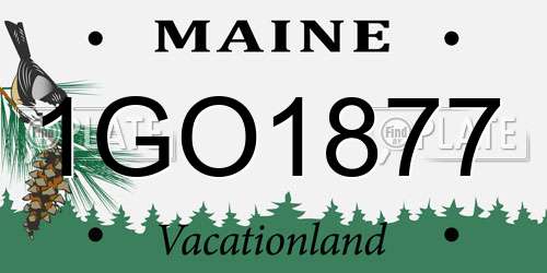 1GO1877 Maine License Plate