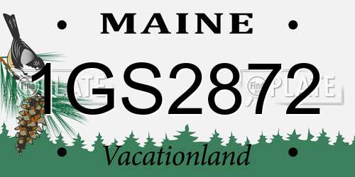 1GS2872 Maine License Plate