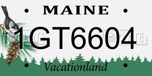 1GT6604 Maine License Plate