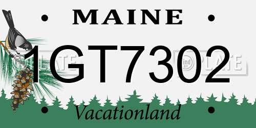 1GT7302 Maine License Plate