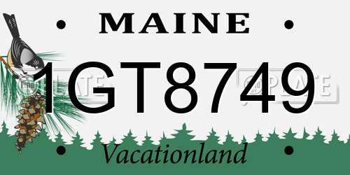 1GT8749 Maine License Plate
