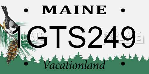 1GTS249 Maine License Plate