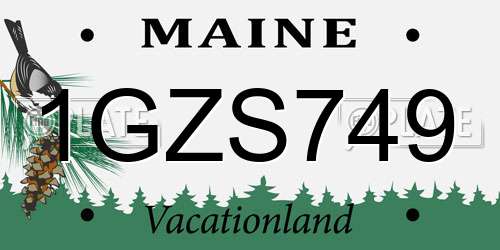 1GZS749 Maine License Plate