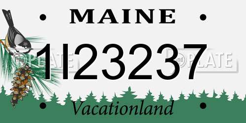 1I23237 Maine License Plate