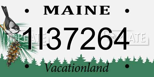 1I37264 Maine License Plate
