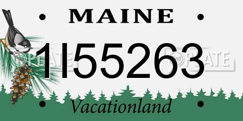 1I55263 Maine License Plate