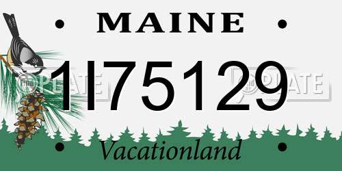 1I75129 Maine License Plate