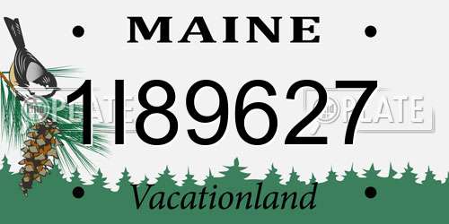 1I89627 Maine License Plate