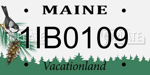 1IB0109 Maine License Plate