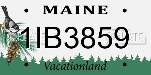 1IB3859 Maine License Plate