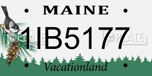 1IB5177 Maine License Plate