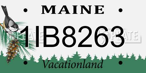 1IB8263 Maine License Plate
