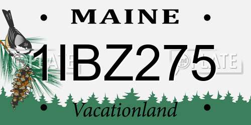 1IBZ275 Maine License Plate