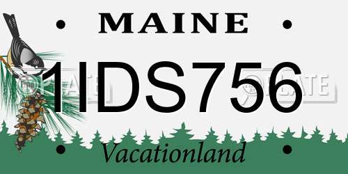 1IDS756 Maine License Plate
