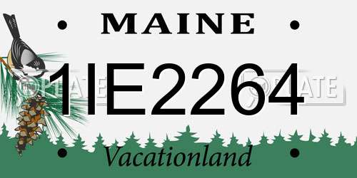 1IE2264 Maine License Plate