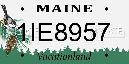 1IE8957 Maine License Plate