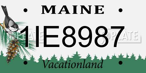 1IE8987 Maine License Plate