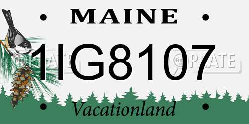 1IG8107 Maine License Plate