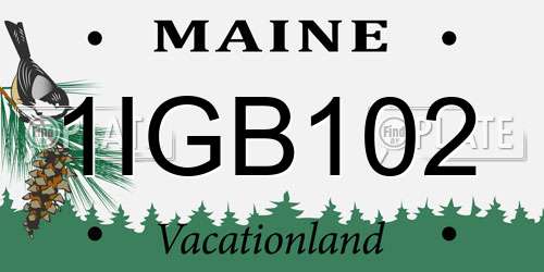 1IGB102 Maine License Plate