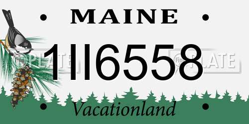 1II6558 Maine License Plate