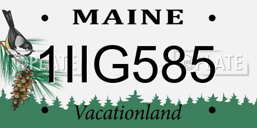 1IIG585 Maine License Plate