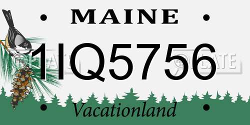 1IQ5756 Maine License Plate