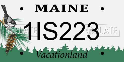 1IS223 Maine License Plate