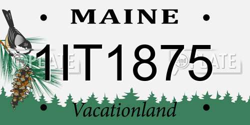 1IT1875 Maine License Plate
