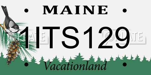 1ITS129 Maine License Plate