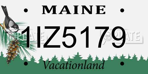1IZ5179 Maine License Plate