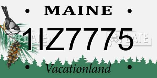 1IZ7775 Maine License Plate