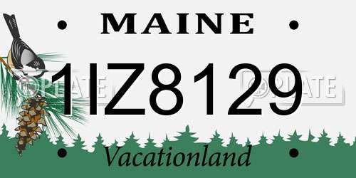 1IZ8129 Maine License Plate