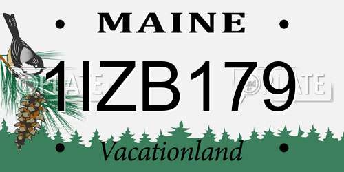1IZB179 Maine License Plate
