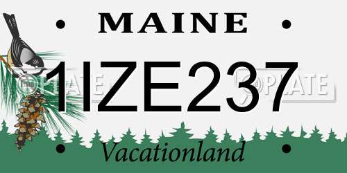 1IZE237 Maine License Plate