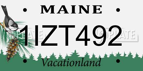 1IZT492 Maine License Plate
