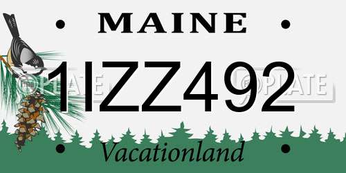 1IZZ492 Maine License Plate