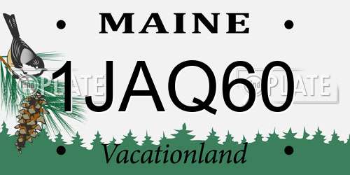 1JAQ60 Maine License Plate