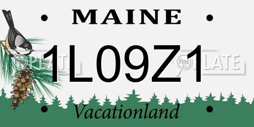 1L09Z1 Maine License Plate