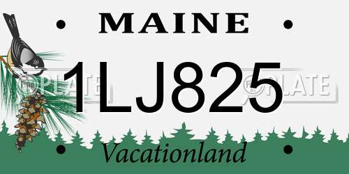 1LJ825 Maine License Plate